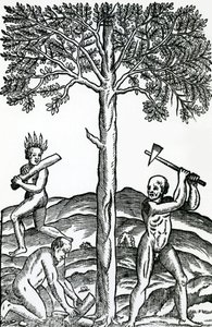 Bomen kappen, illustratie uit Singulariteiten van Frankrijk Antarctique, door Andre de Thevet, 1558 door French School